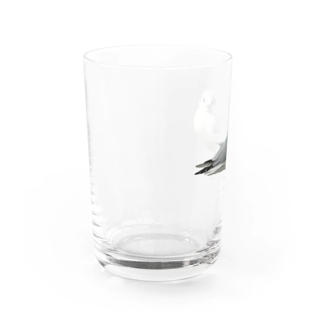 山の門のかもめ　正面 Water Glass :left