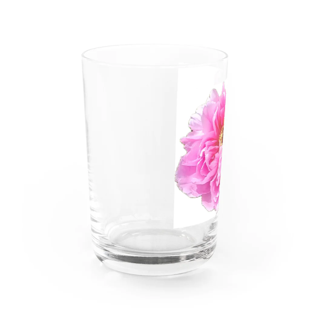 私の世界のseiso Water Glass :left