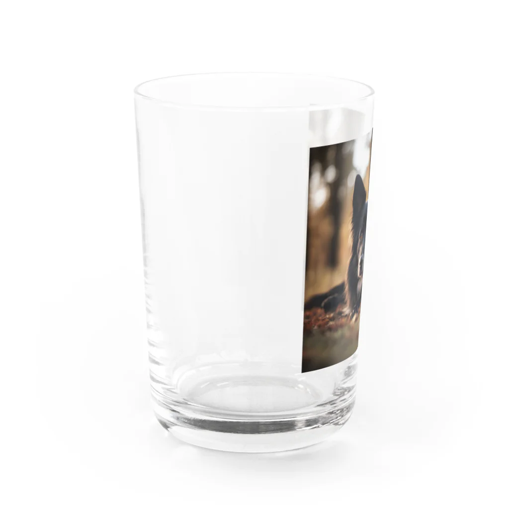 犬太郎の第一弾　『シャドウ』 Water Glass :left