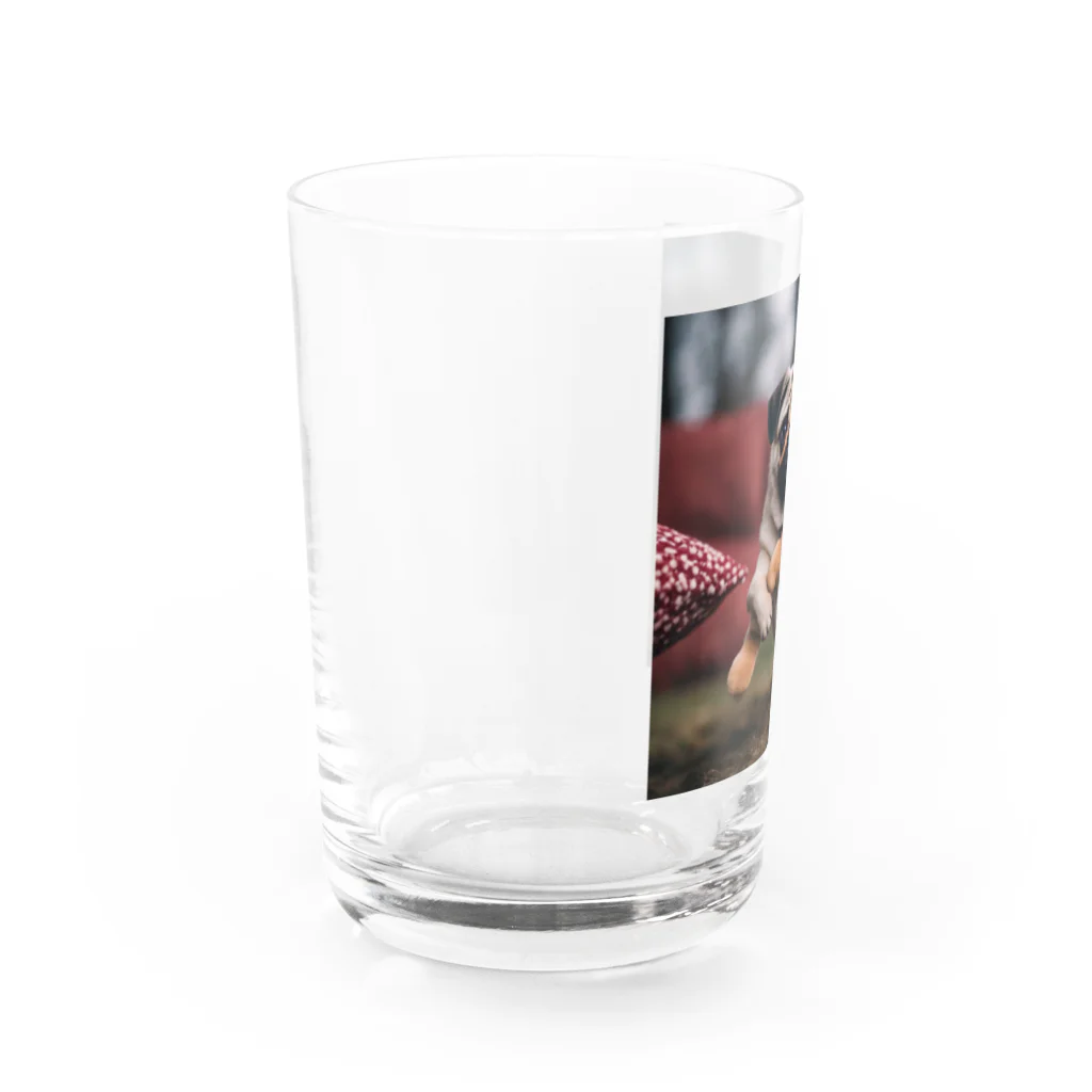 ODDS-345のぬいぐるみと格闘するパグ Water Glass :left