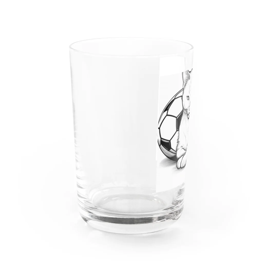 どうぶつやのサッカーボールと猫 Water Glass :left