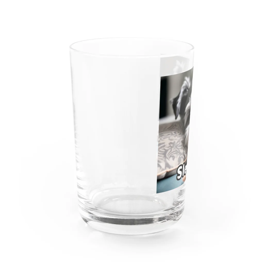 kkb81の眠そうなミニチュア・シュナウザー Water Glass :left