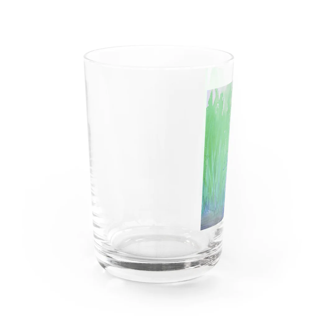 しょくぶつえんの探検カエル Water Glass :left