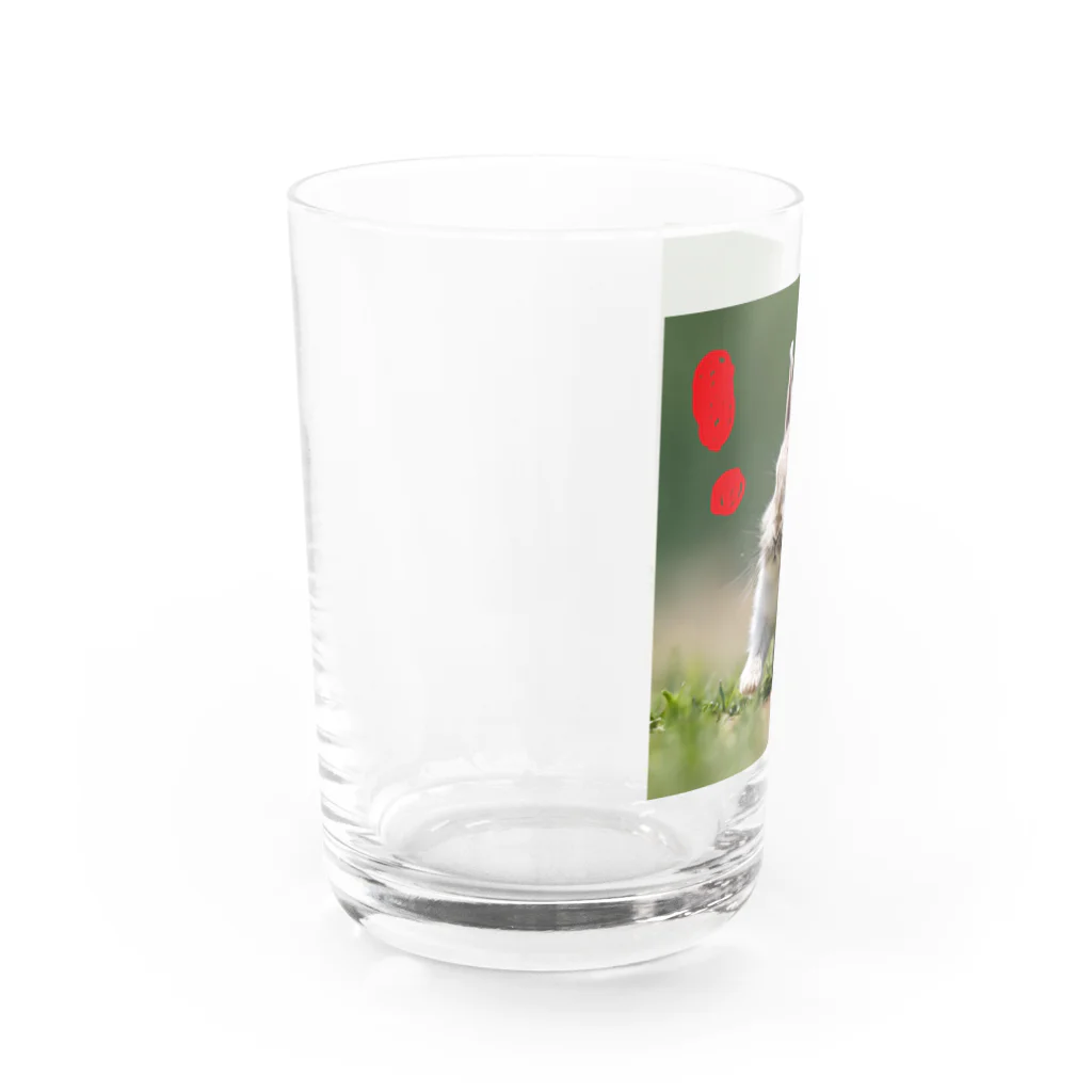 Miraino20のあっなんだ？‼ Water Glass :left