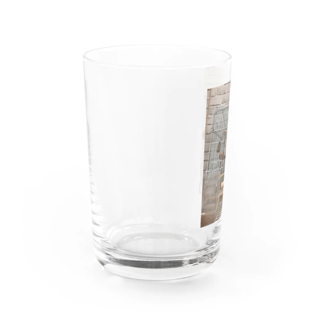 小鳥屋の錦華鳥の華ちゃんグッズ Water Glass :left