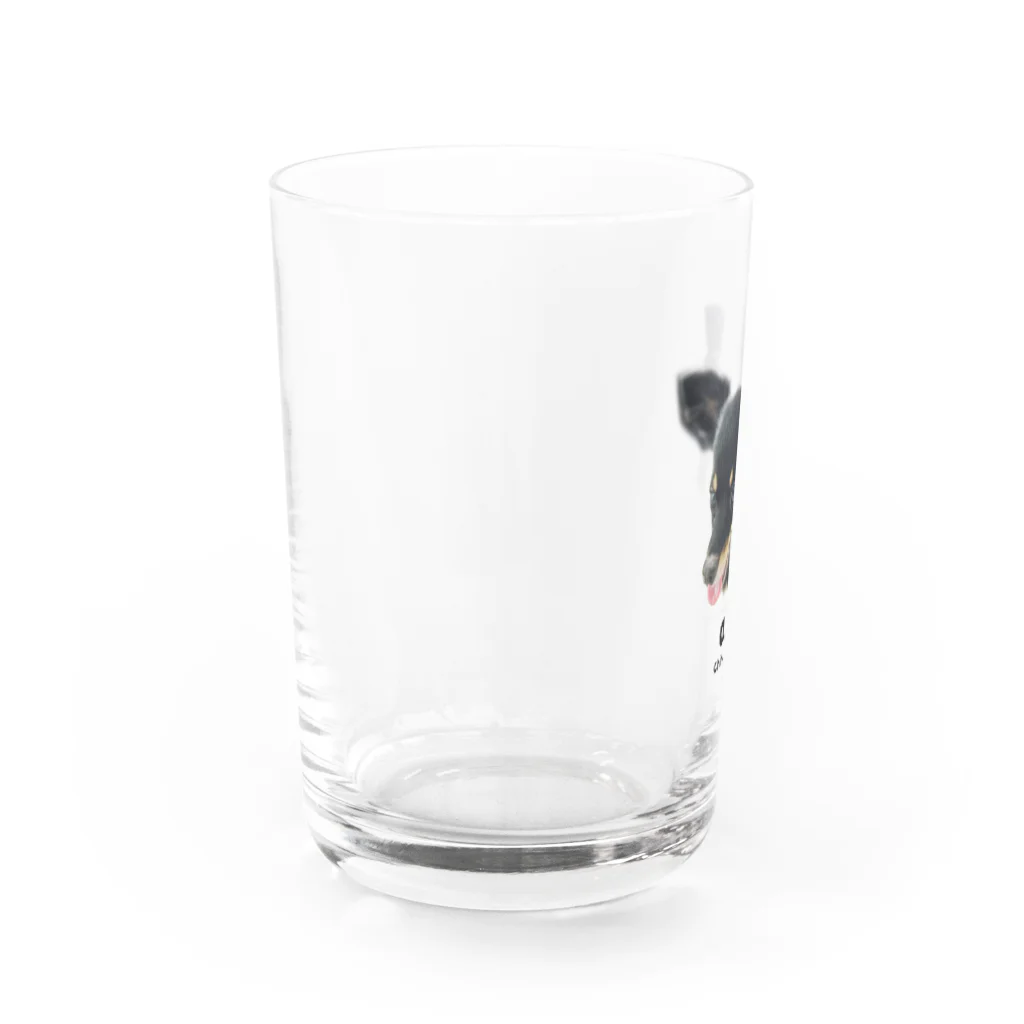 北欧系の雑貨好きのショップのAN Water Glass :left