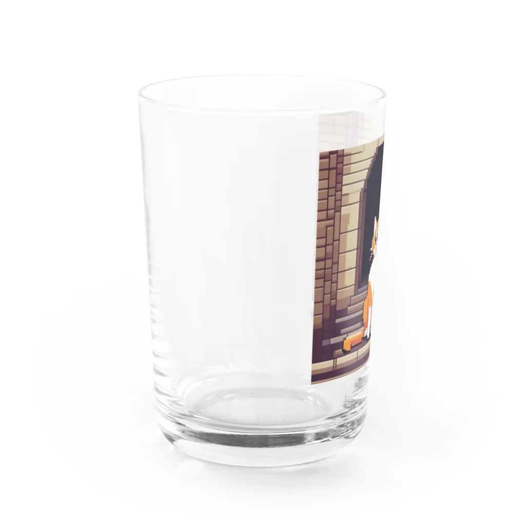 masaのトンネルで遊んでいる猫 Water Glass :left