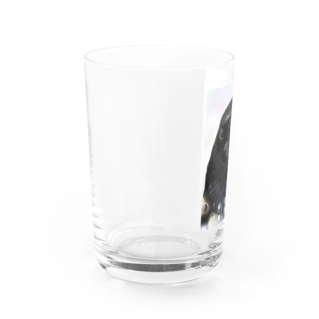 カラスのクッピのカラスのラビ Water Glass :left