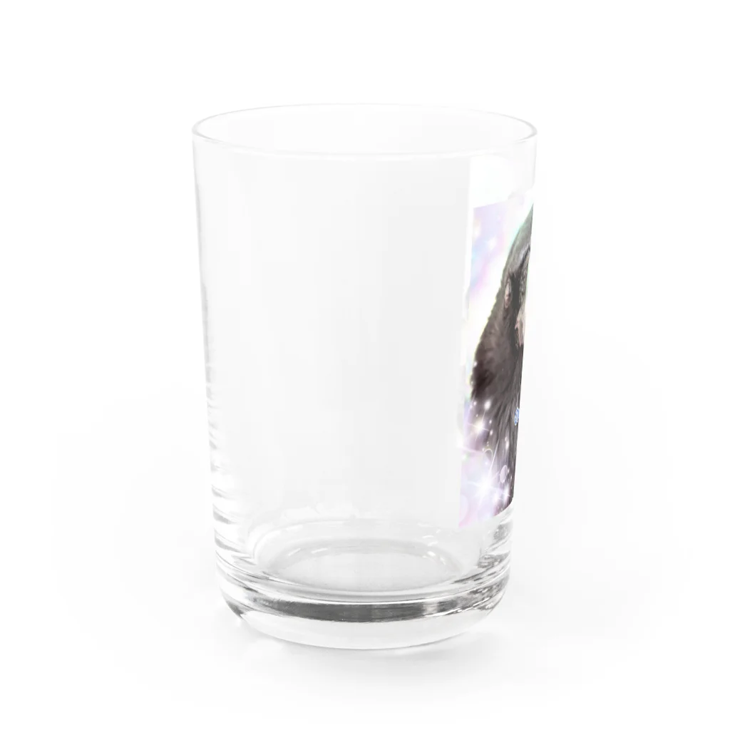 カラスのクッピのカラスのラビ Water Glass :left