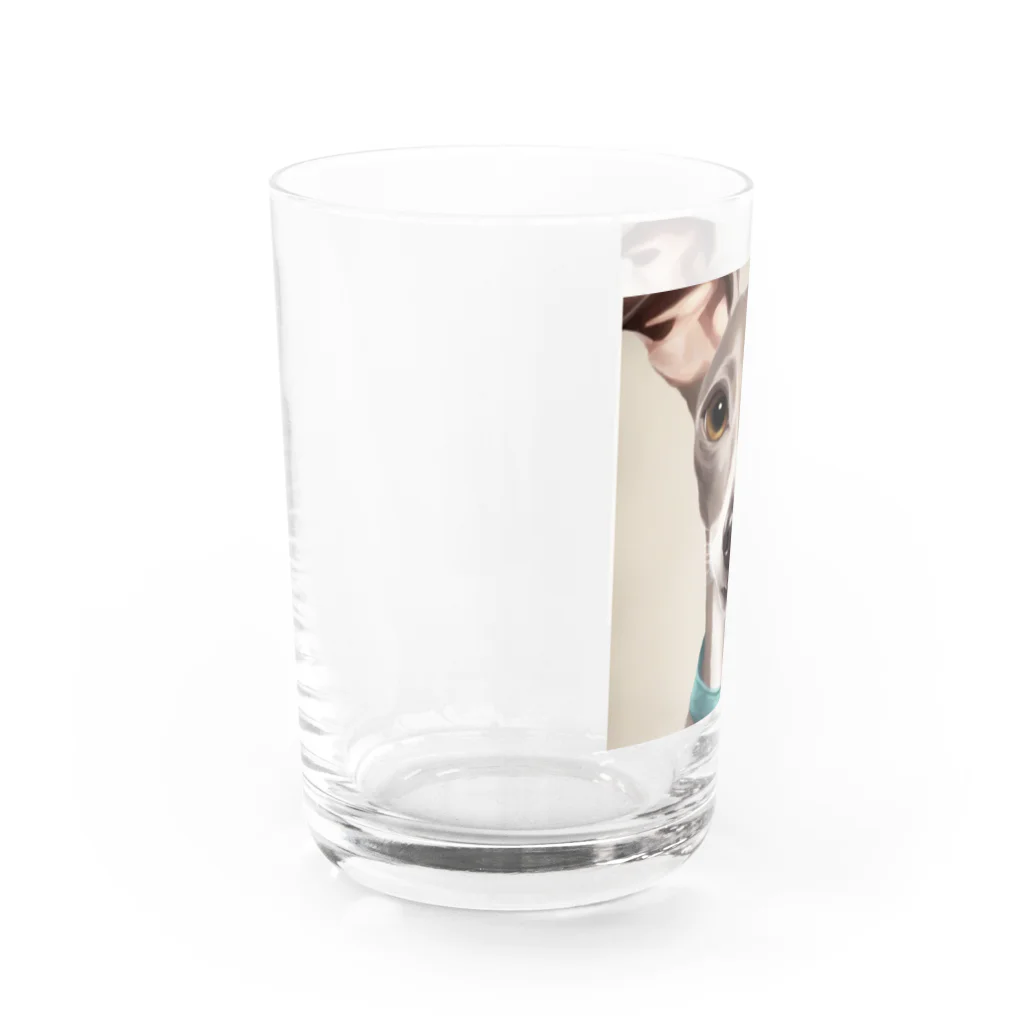 hono想(そう)イタグレ日記の笑顔のイタリアングレーハウンド Water Glass :left