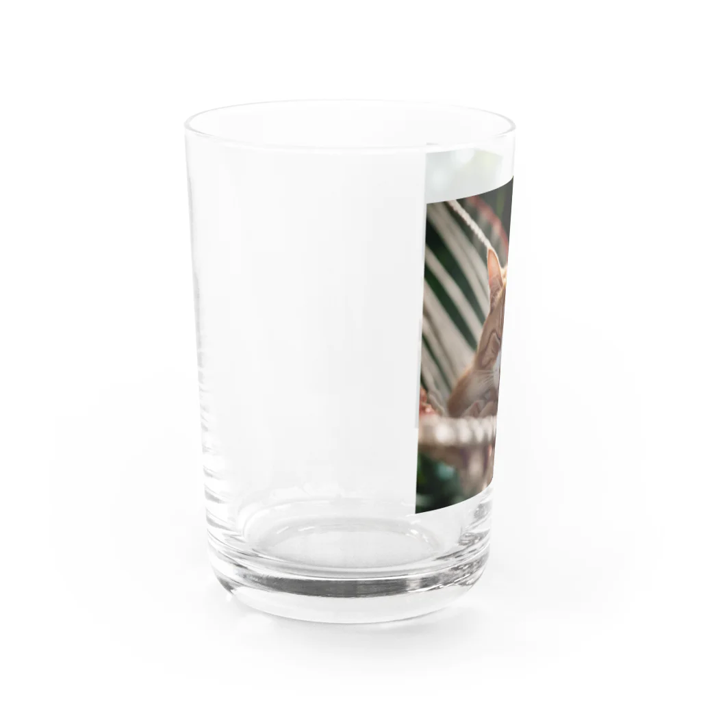 KKaの居眠りニャンコ Water Glass :left