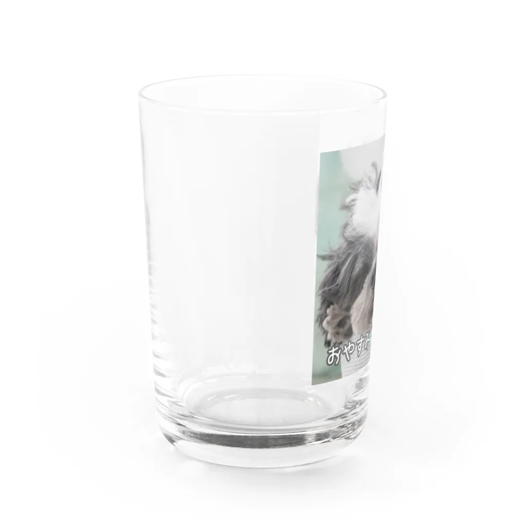 miyata20のいねむりワンちゃん Water Glass :left