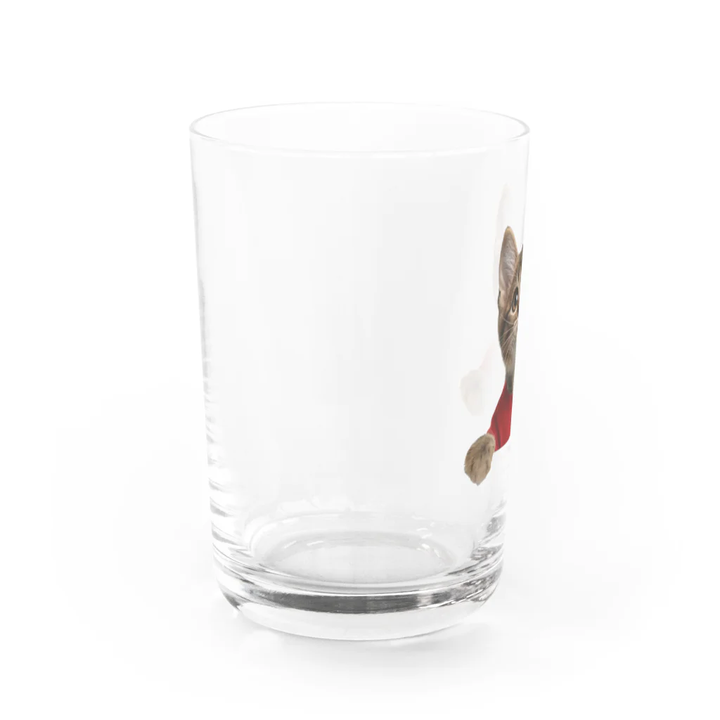 子猫のマイク・mikeの部屋のmikeナンバー１ Water Glass :left