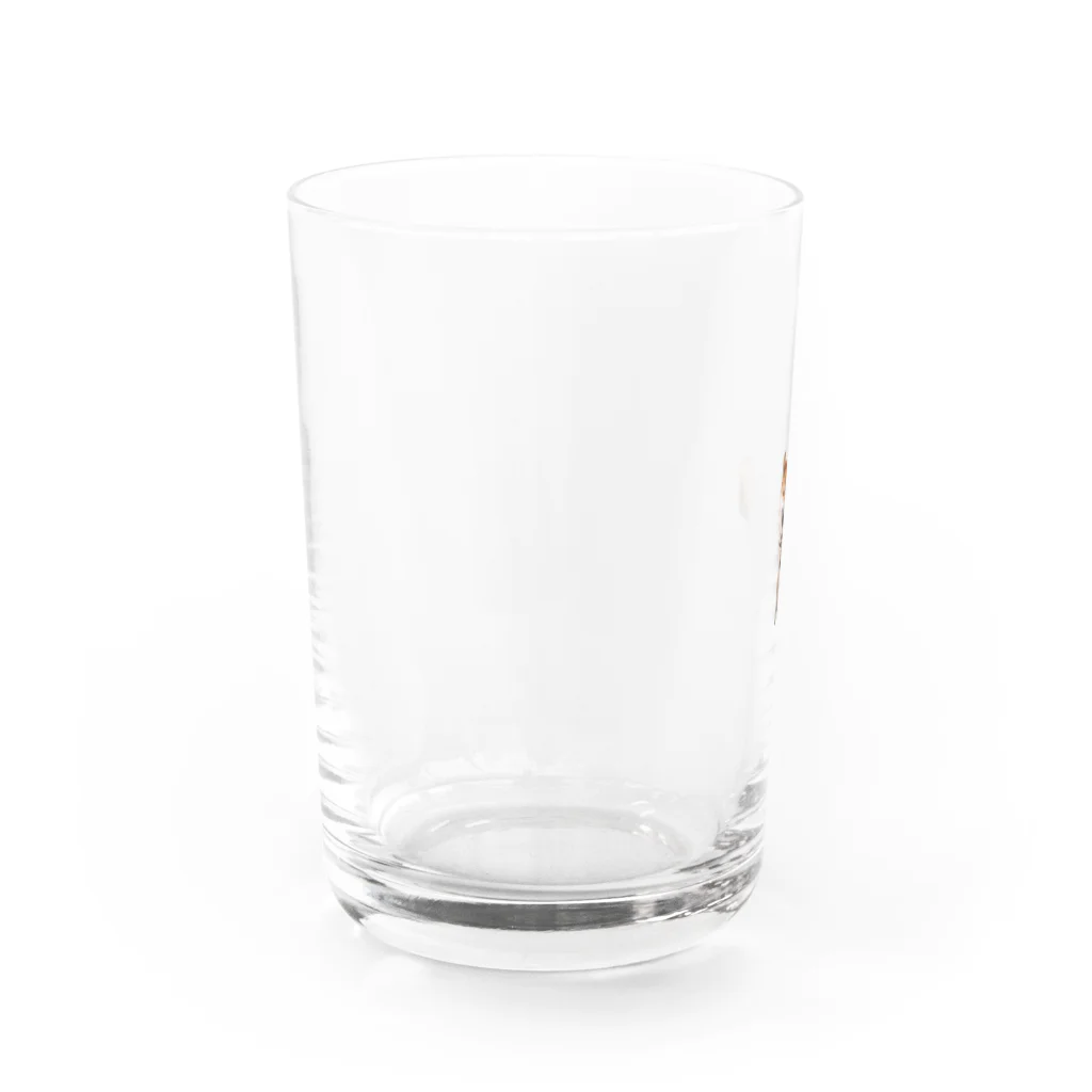 chibita08のキュートで活発な柴犬 Water Glass :left