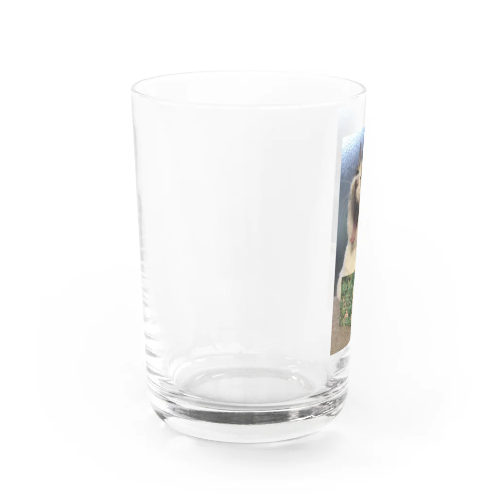 SHABBAT MOON のSHABBAT CAT Water Glass :left