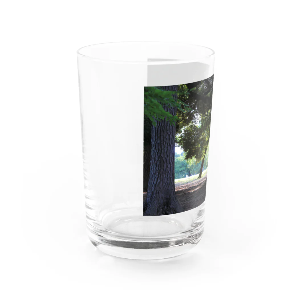 STELLAREOのおとぎの公園の木 Water Glass :left