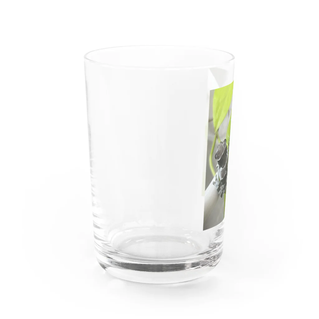 natsumasaのミルキーフロッグ Water Glass :left