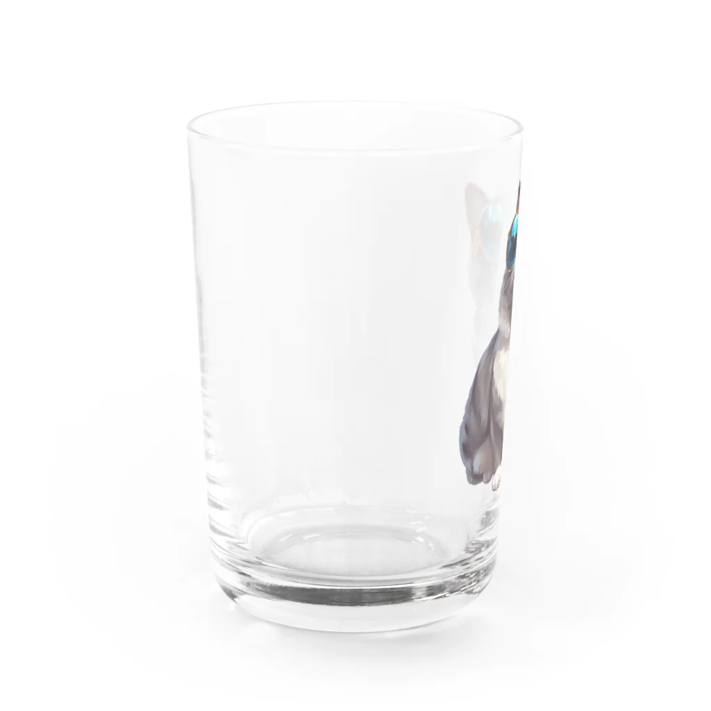 AQUAMETAVERSEのサングラスをかけた、かわいいネコ Marsa 106 Water Glass :left