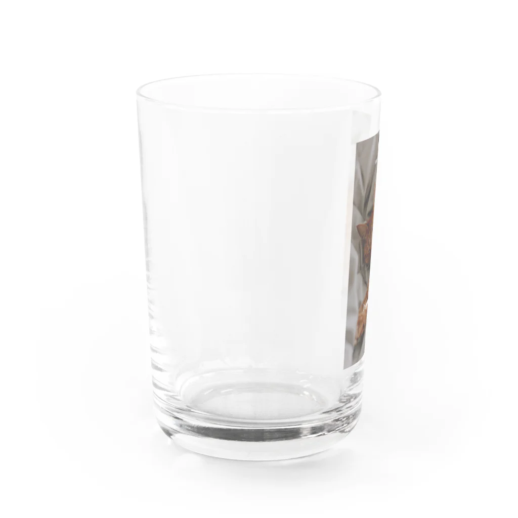 愛美吉祥天女のtennyoと猫 Water Glass :left