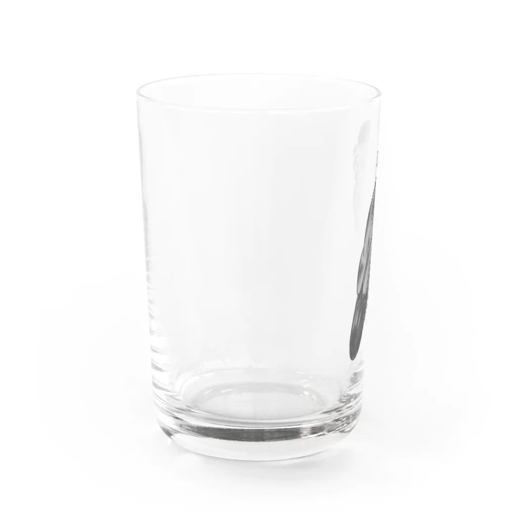 suzuaoのふさふさ文鳥くん Water Glass :left