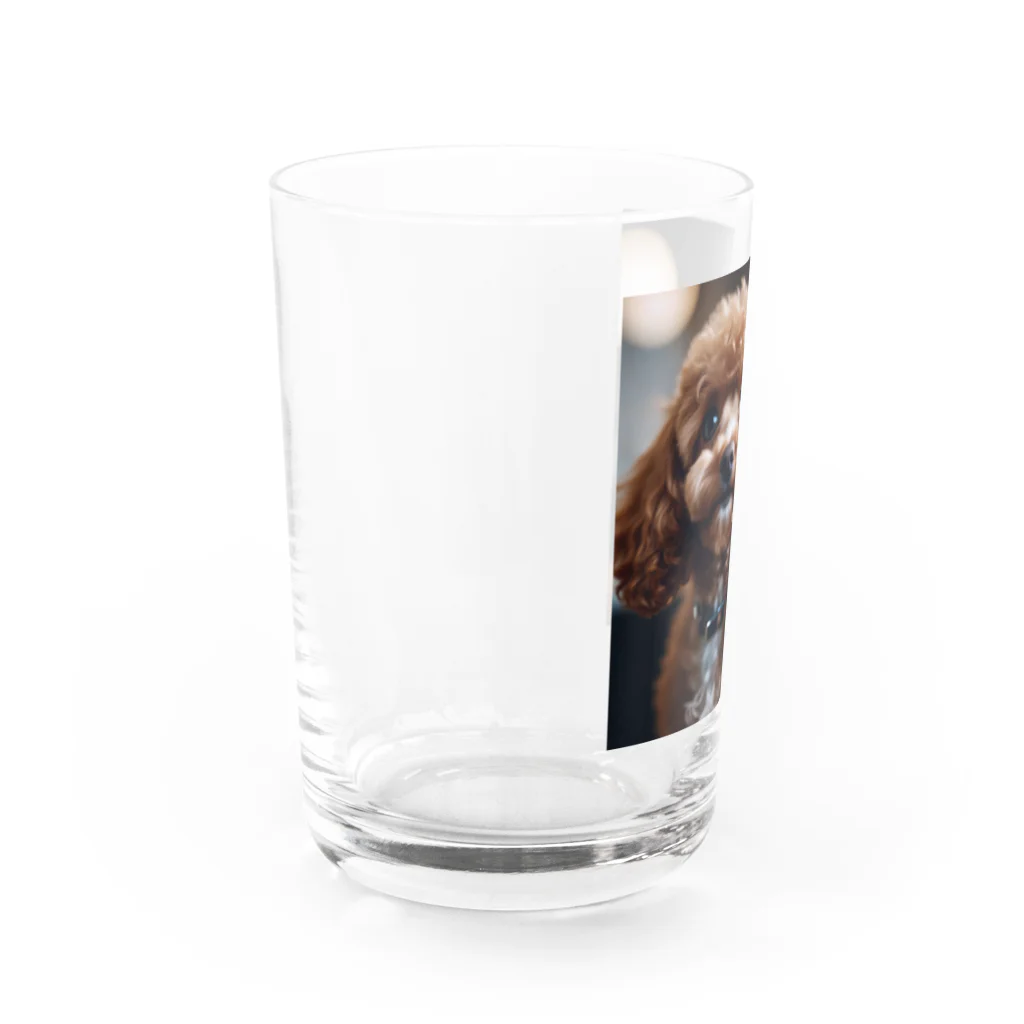 shaiermoiの首をかしげているトイプードル Water Glass :left