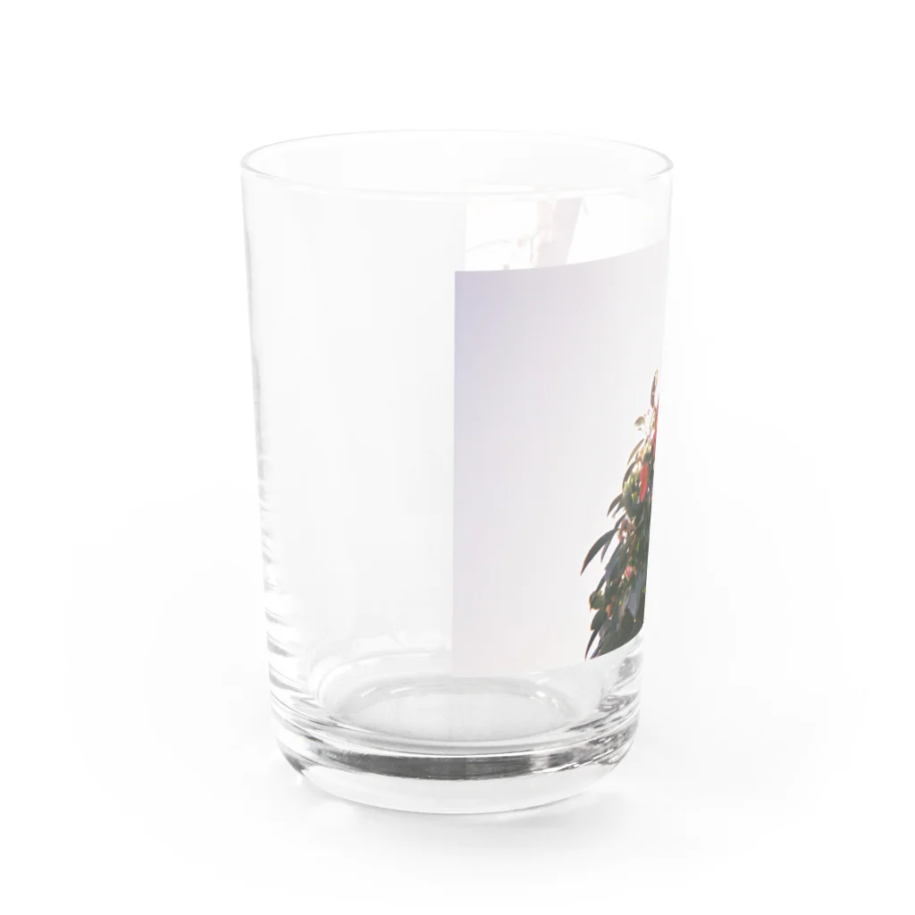 こここのどこかの花 Water Glass :left