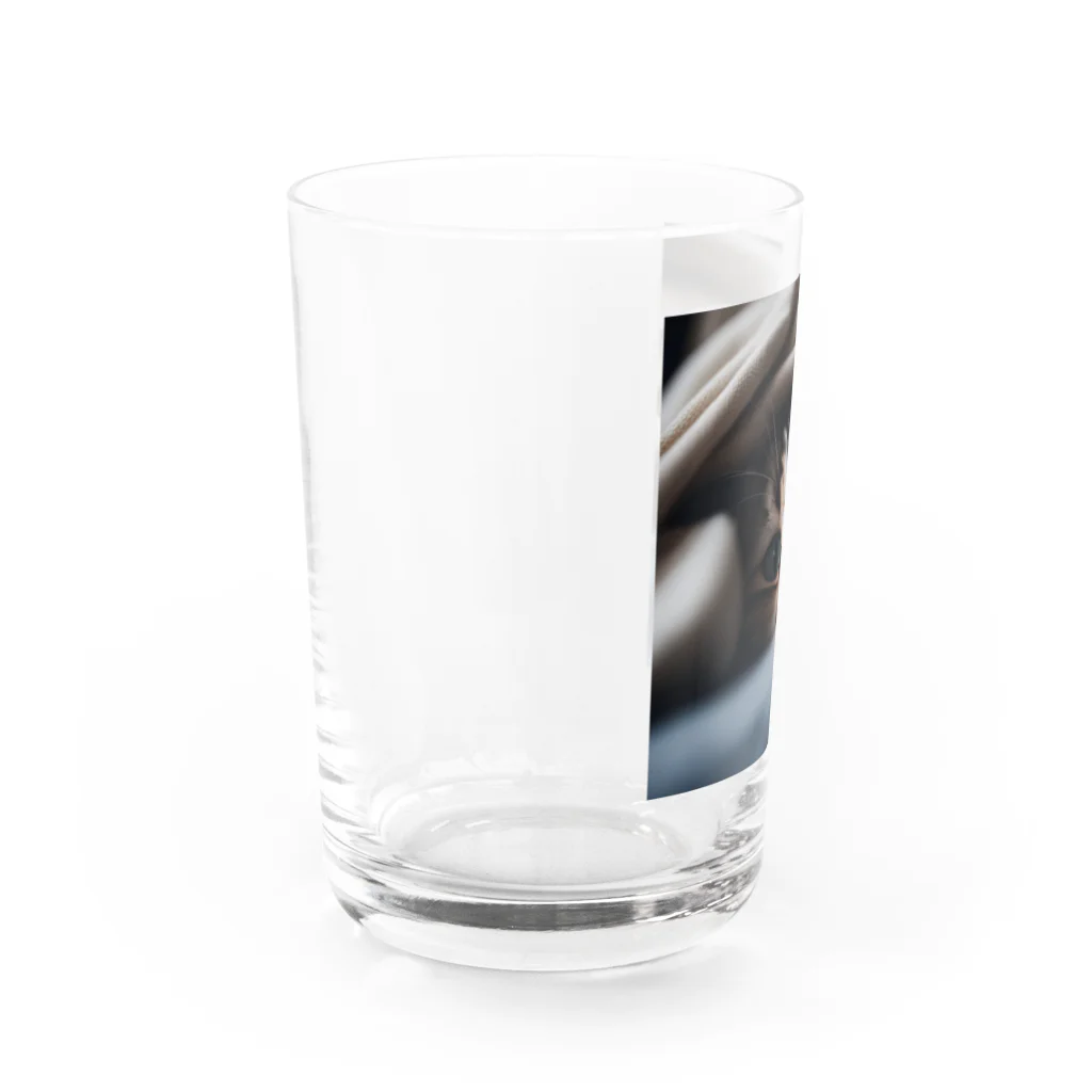 feliceの毛布の下に隠れている猫 Water Glass :left