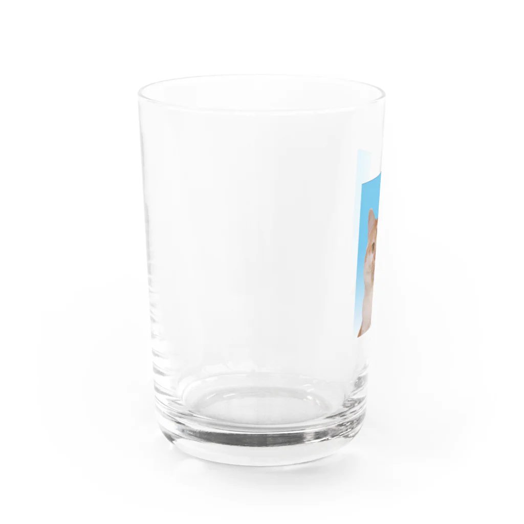 ギズモと琥珀の証明写真 Water Glass :left