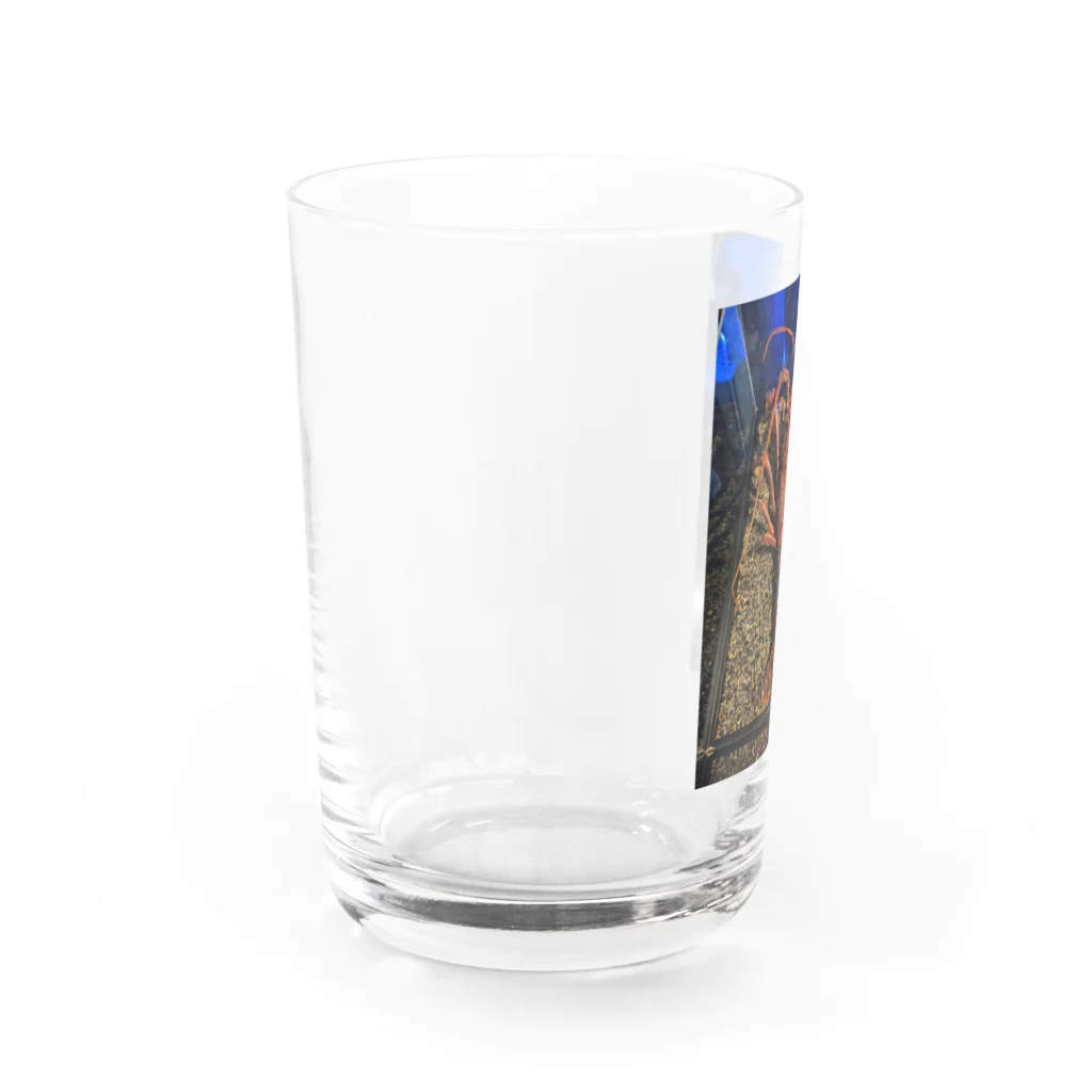 てぃっちゃんの伊勢海老 Water Glass :left