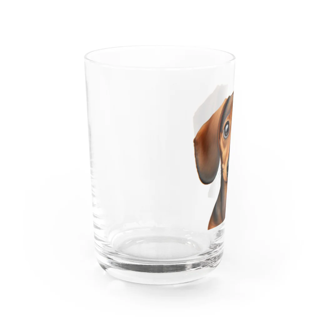 Nissy_7のミニチュアダックスフンド Water Glass :left