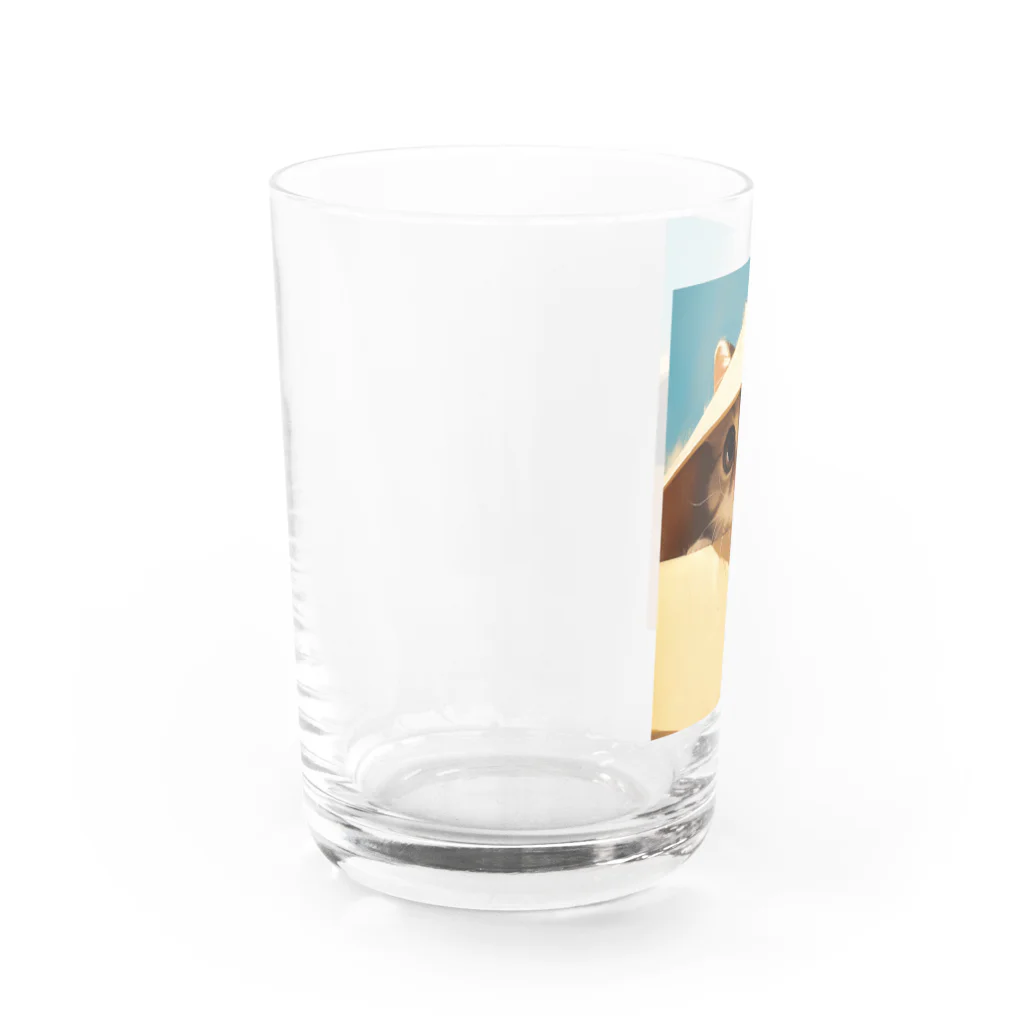 AQUAMETAVERSEの箱からのぞいている子猫　ラフルール　1859 Water Glass :left