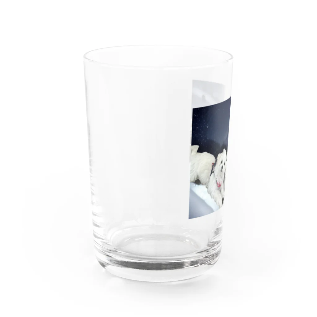 HERB46のミルクとチェリー Water Glass :left