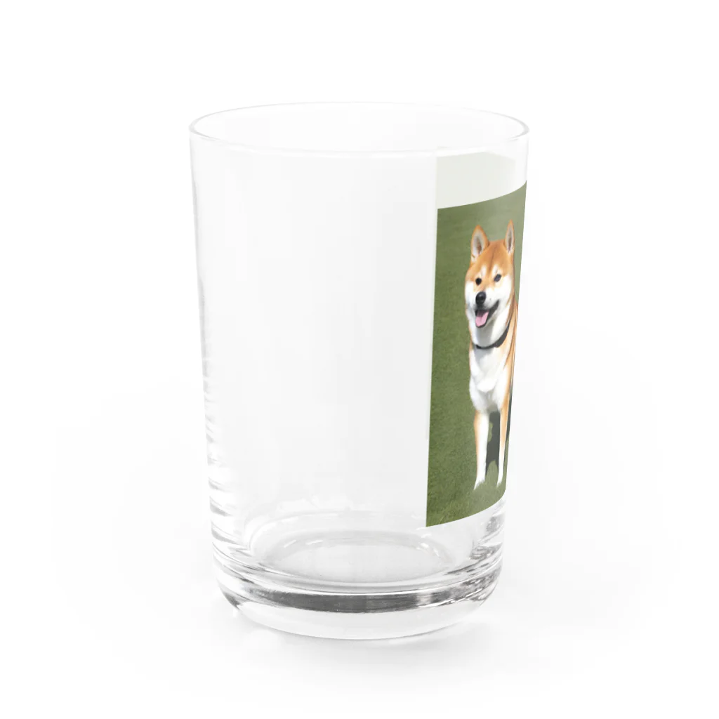 柴犬大好きマンのかわいい柴犬　赤毛 Water Glass :left