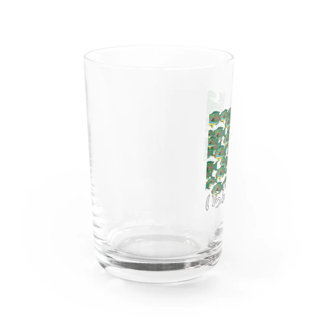 ニゴ猫　shopの魚群イラブチャ～ Water Glass :left