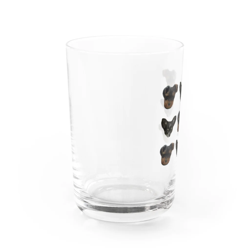 チワワのバレンとヨープーのテアのチワワとヨープー Water Glass :left