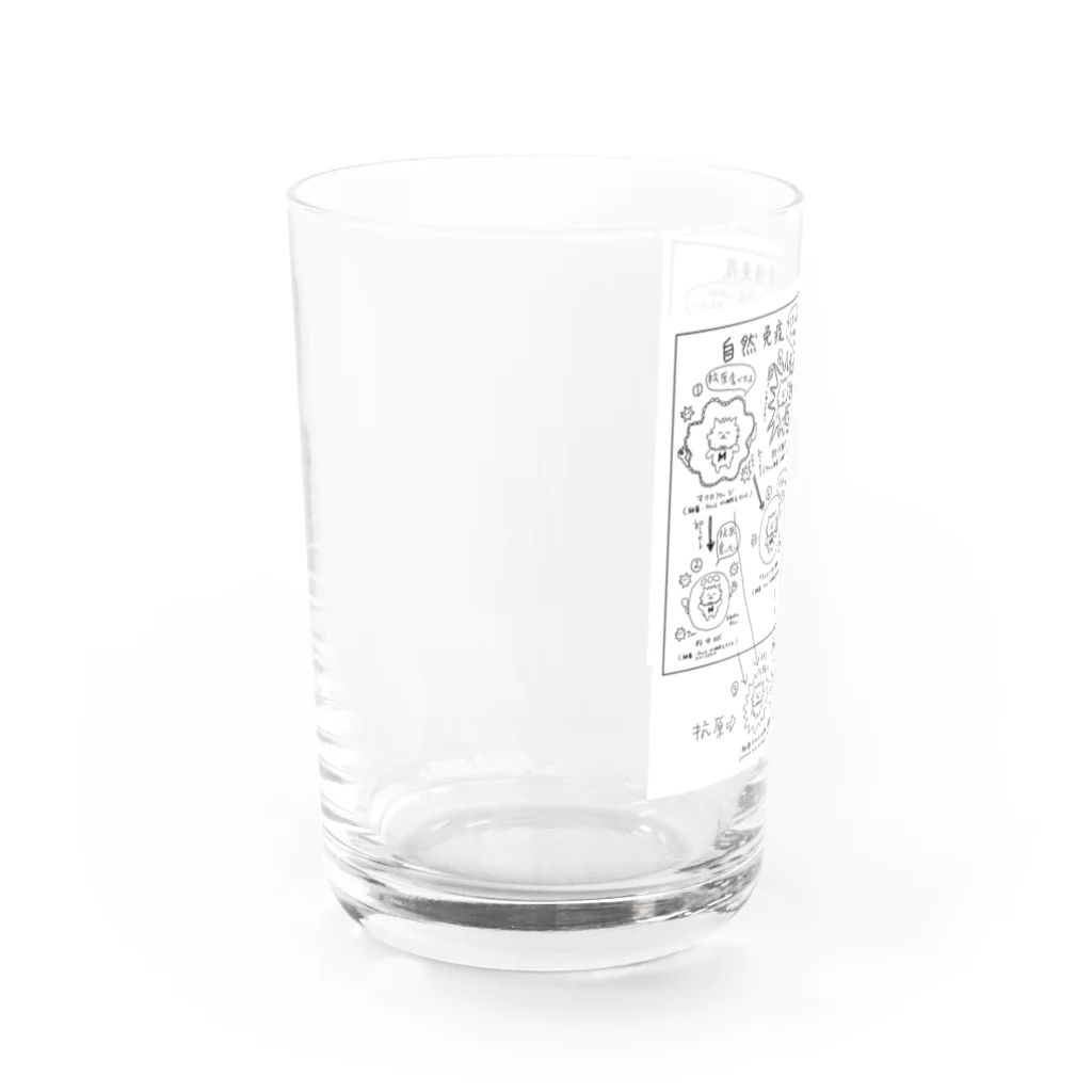 ネコグラシの自然免疫獲得免疫 Water Glass :left