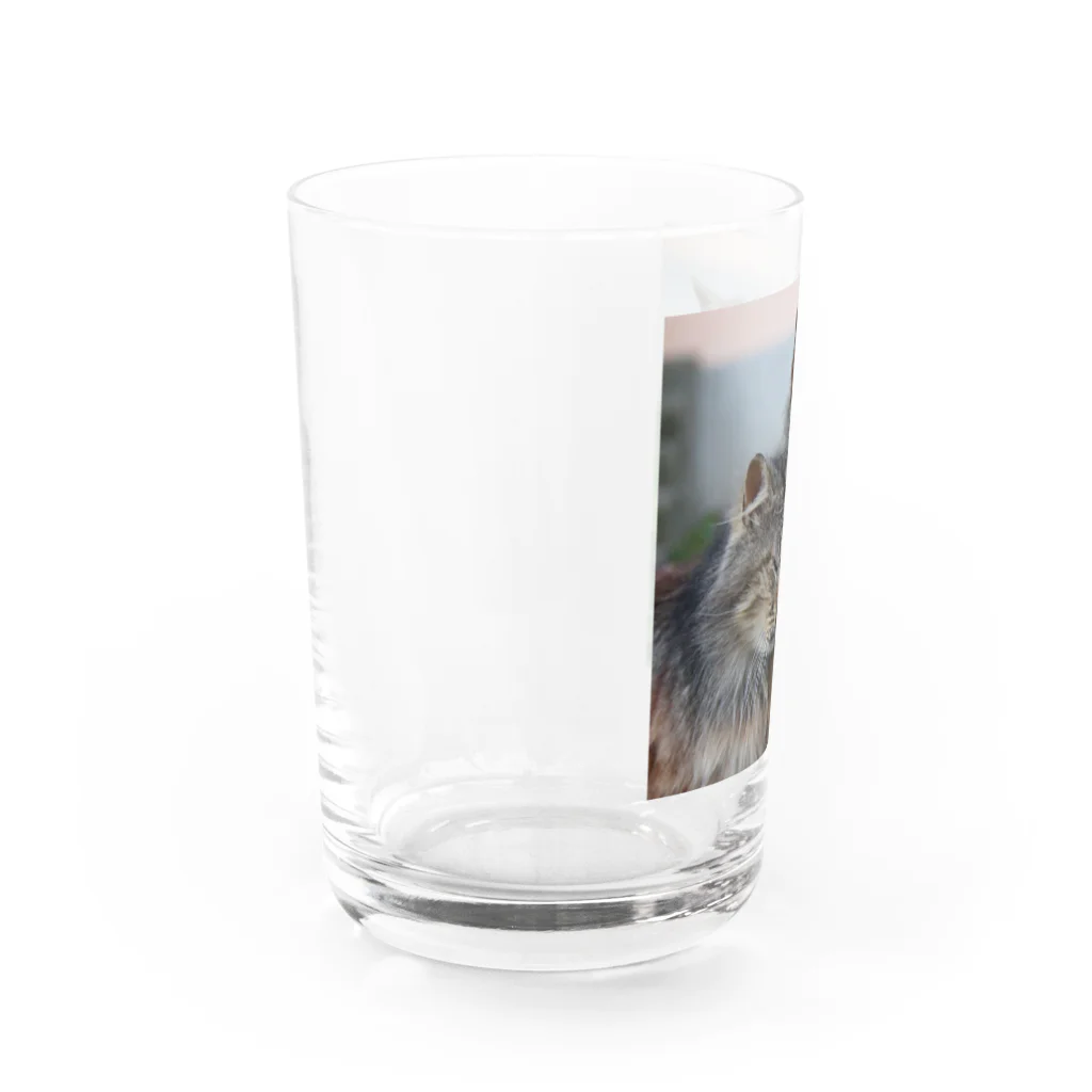 ニゴ猫　shopの愛だろう愛 Water Glass :left