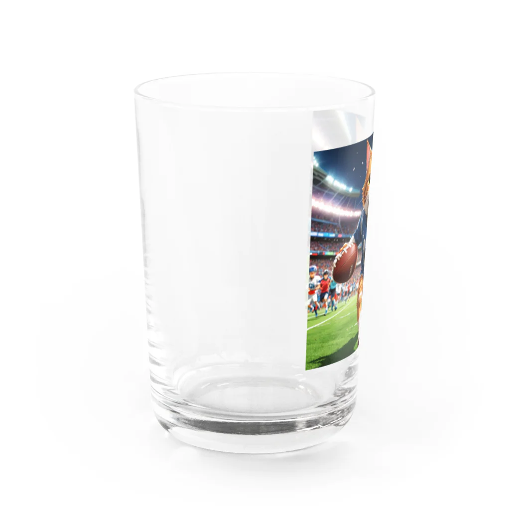 NekoAshiNoBathtubのアメリカンフットボールネコ Water Glass :left