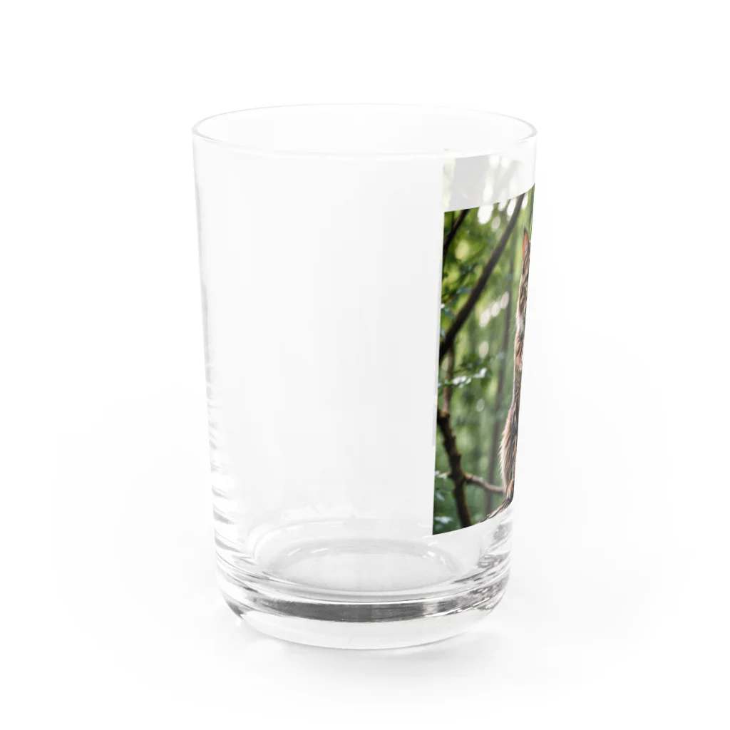 Shigeto Galaxy2hbの森の猫 Water Glass :left