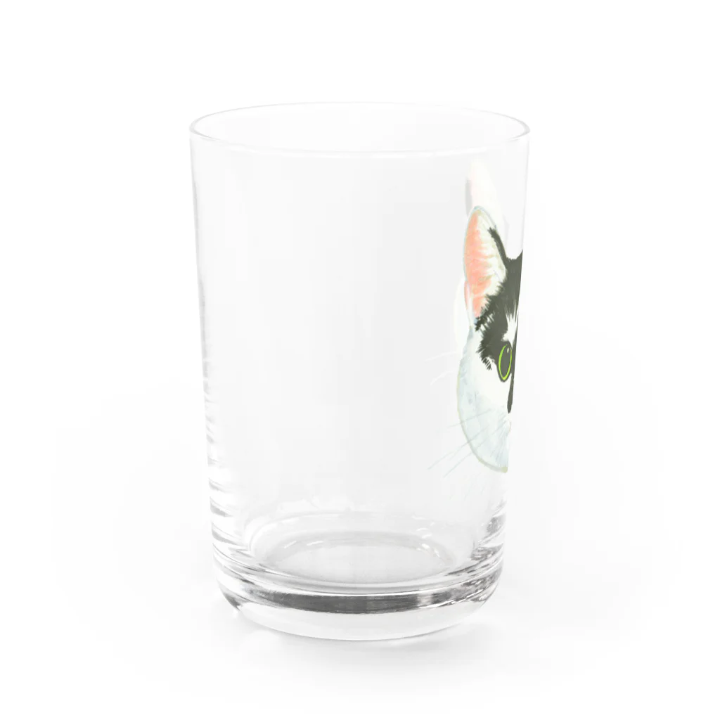 segasworksのねこさんのお顔（白黒ねこ） Water Glass :left