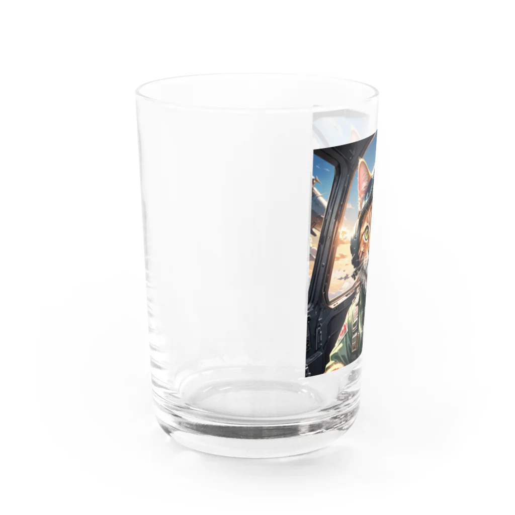 nekoと鉄のパイロット猫 Water Glass :left