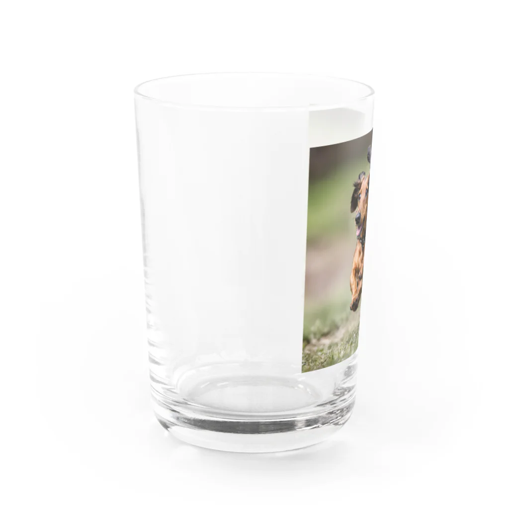 ともぞ@デザイナーのワンダフルライフ Water Glass :left