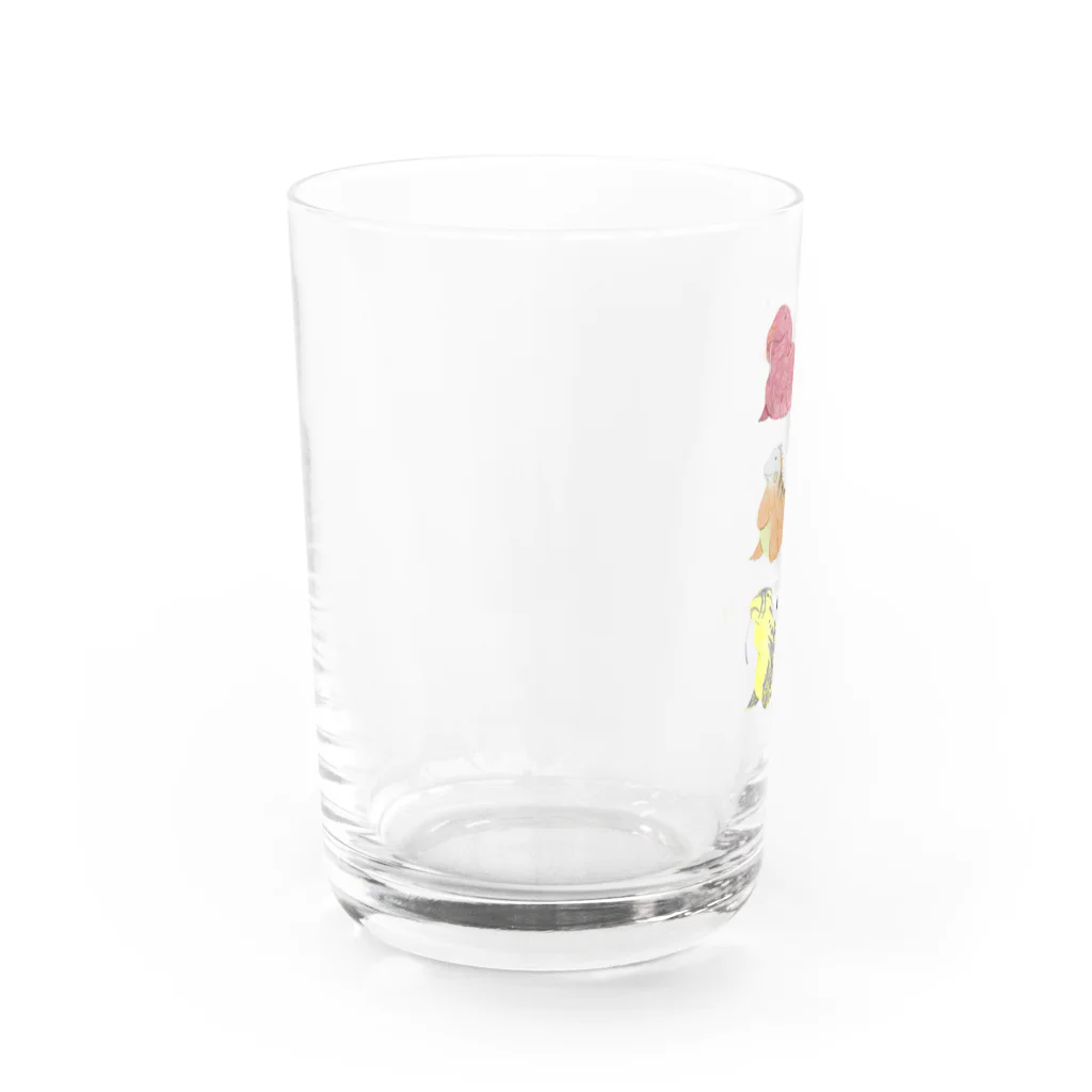 cats&reptiles cafe Odd eyeのてぐらしいぐらしもにらし　レッドVer. Water Glass :left