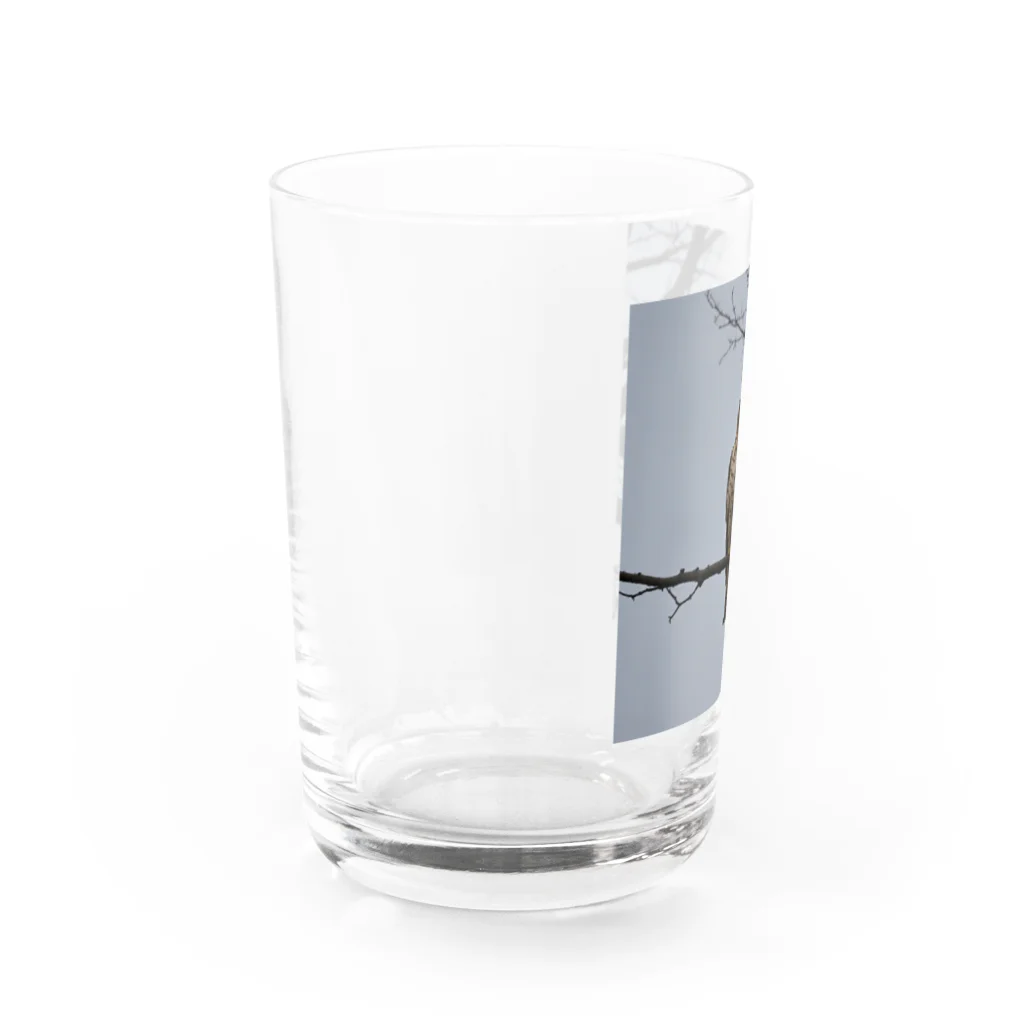 ganeshaの天候の変化に備えるタカ Water Glass :left