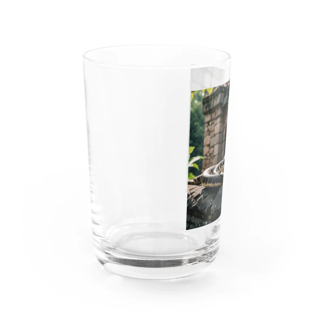 TakeKAKEの国外逃亡をはかる蛇 Water Glass :left