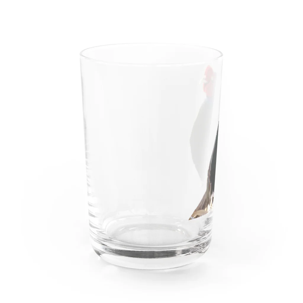 てんねんだいすきＳｈｏｐの雉 Water Glass :left