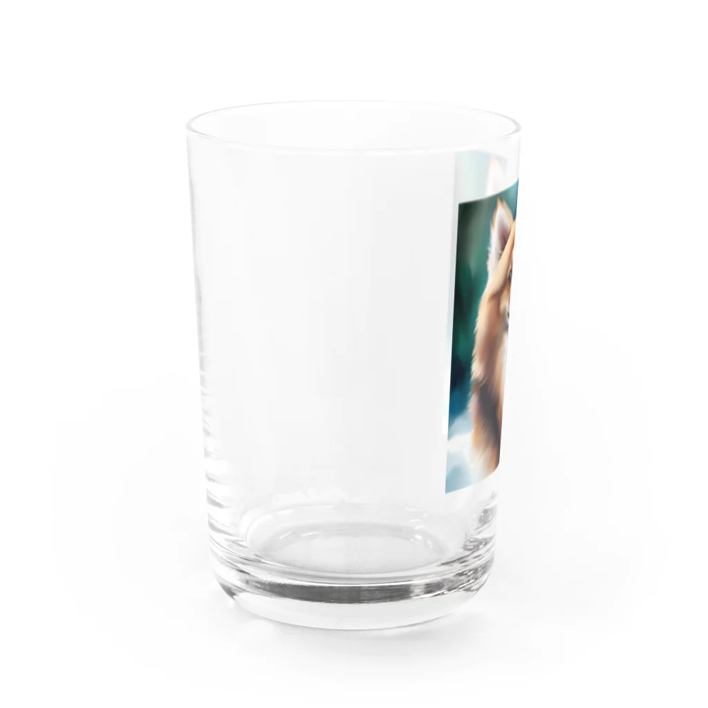 海坊主のポメラニアンのポーくん Water Glass :left
