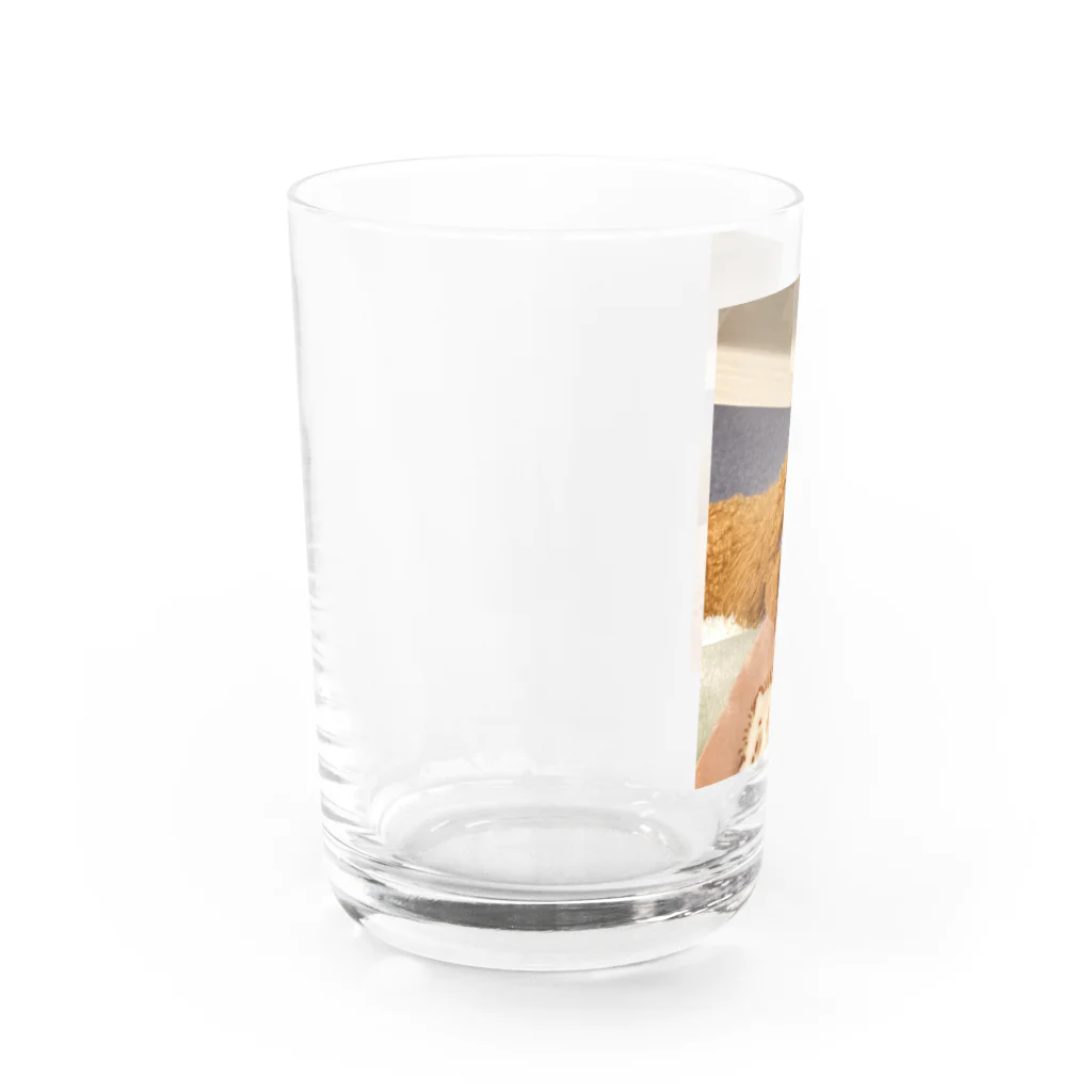 ASAMI ZOOのプッチンプリン Water Glass :left
