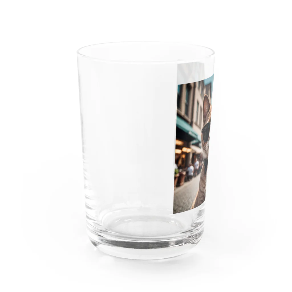 oz-chanのサングラスを掛けているモデルマンチカン猫 Water Glass :left