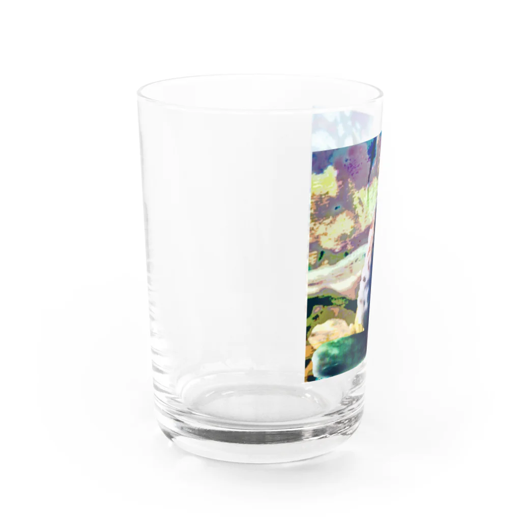 猫に恩返しのTORA'S Watch Party Water Glass :left